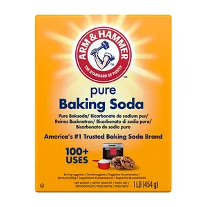 Bicarbonate de soude Arm&Hammer 454 g