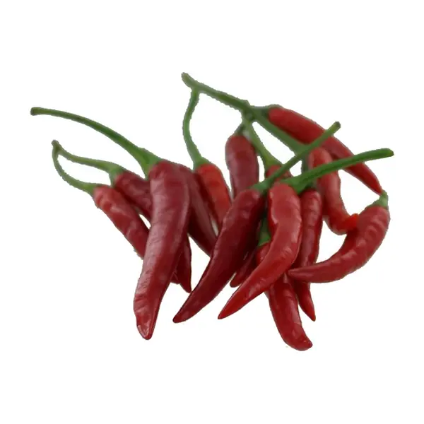 Piment Oiseau Rouge Thaï 100 GR / Unité