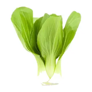 Mini Shanghai Pak Choi / KG