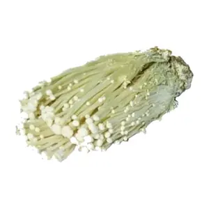 Champignon Enoki / Unité