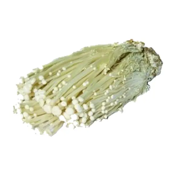 Champignon Enoki / Unité