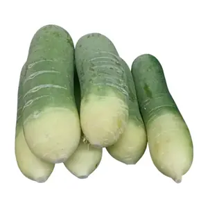 Radis Vert / KG