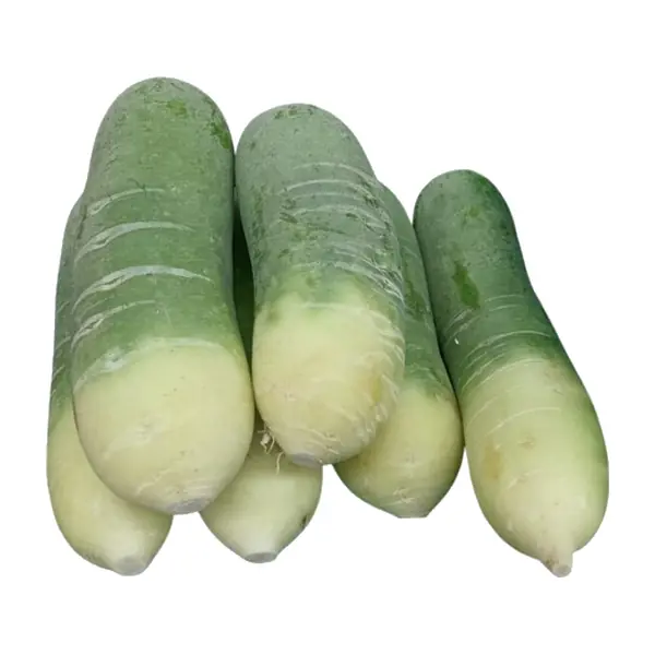 Radis Vert / KG