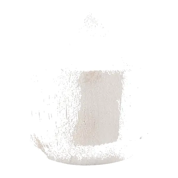 Noix de Coco / Unité